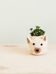 Cat Succulent Planter - Animal Head Planters - Natural and White