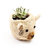 Cat Succulent Planter - Animal Head Planters