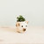 Cat Succulent Planter - Animal Head Planters