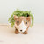 Corgi Succulent Pot - Handmade Planters