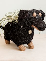 Dachshund Dog Planter - Coco Planter - Natural and White