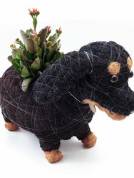 Dachshund Dog Planter - Coco Planter