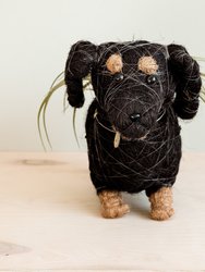 Dachshund Dog Planter - Coco Planter