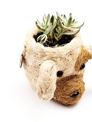 Dog Succulent Planter - Animal Head Plant Pot