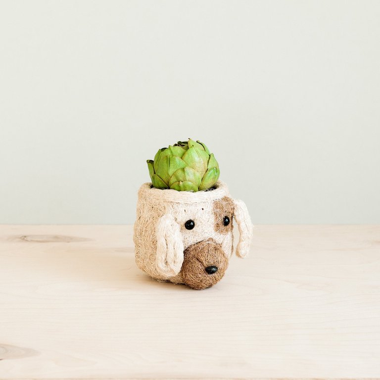 Dog Succulent Planter - Animal Head Plant Pot