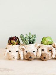 Dog Succulent Planter - Animal Head Plant Pot