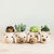 Dog Succulent Planter - Animal Head Plant Pot