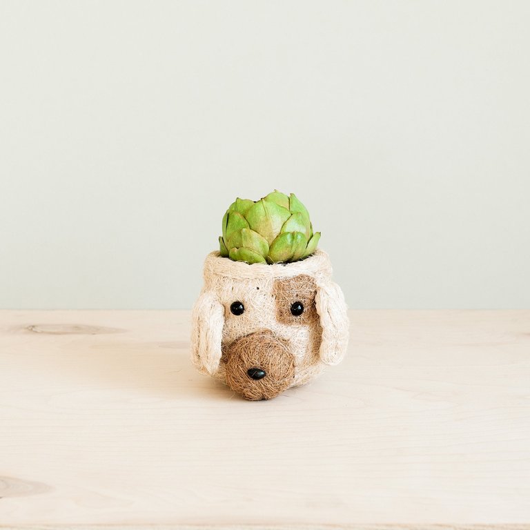 Dog Succulent Planter - Animal Head Plant Pot - Natural and White