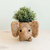 Elephant Plant Pot - Handmade Planter