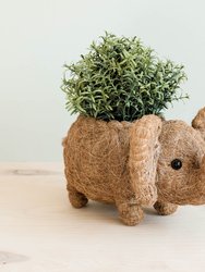 Elephant Plant Pot - Handmade Planter - Natural