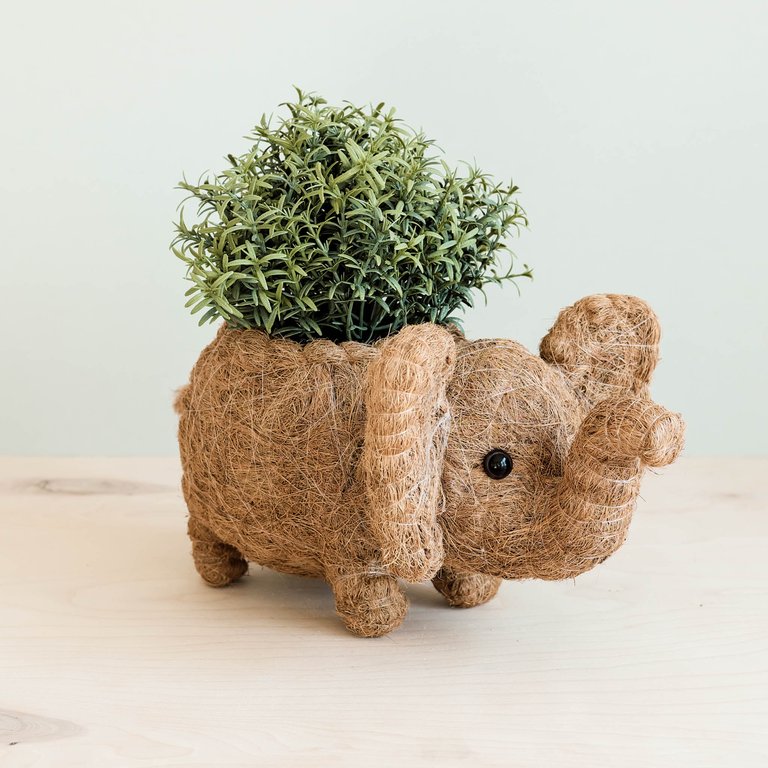 Elephant Plant Pot - Handmade Planter - Natural