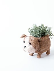 English Bulldog Planter - Coco Coir Pots