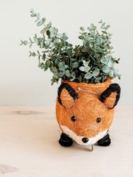 Fox Planter - Coir Planters