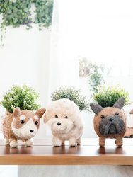 French Bulldog Planter - Coco Coir Pots