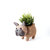 French Bulldog Planter - Coco Coir Pots