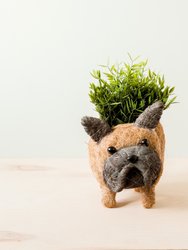 French Bulldog Planter - Coco Coir Pots - White