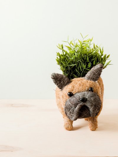 LIKHA French Bulldog Planter - Coco Coir Pots product