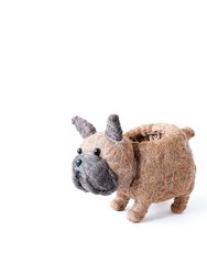 French Bulldog Planter - Coco Coir Pots