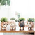 French Bulldog Planter - Coco Coir Pots