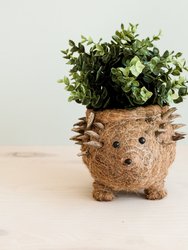 Hedgehog Planter - Coco Planter