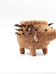 Hedgehog Planter - Coco Planter