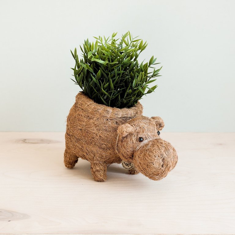 Hippo Planter - Coco Planter