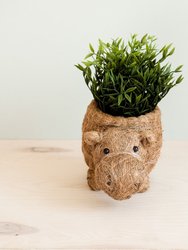 Hippo Planter - Coco Planter