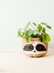 Large three-tone Sloth - Coco Coir Pots (6 inch) - Natural Brown