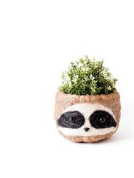 Large three-tone Sloth - Coco Coir Pots (6 inch)