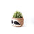 Large three-tone Sloth - Coco Coir Pots (6 inch)