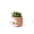 Large two-tone Sloth - Coco Coir Pots (6 inch)