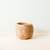 Large two-tone Sloth - Coco Coir Pots (6 inch)