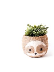 Large two-tone Sloth - Coco Coir Pots (6 inch)