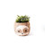 Large two-tone Sloth - Coco Coir Pots (6 inch)