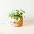 Large two-tone Sloth - Coco Coir Pots (6 inch)