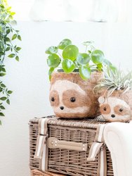 Large two-tone Sloth - Coco Coir Pots (6 inch)