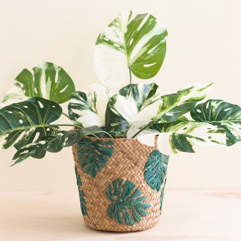 Monstera Embroidered Soft Seagrass Planter - Woven Baskets