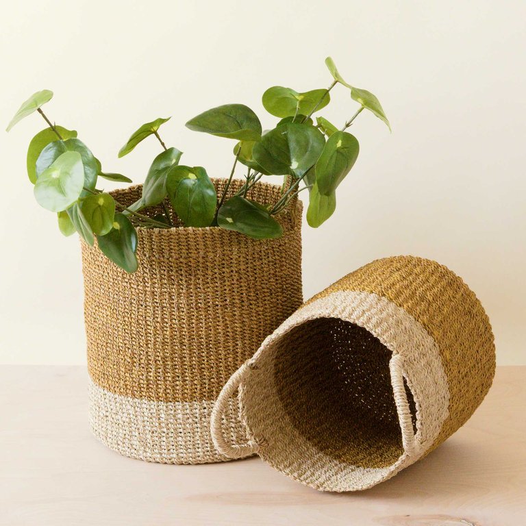 Mustard Baskets With Handle, Set Of 2 - Cylinder Baskets