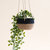 Natural + Black Colorblock Hanging Planter - Hanging Basket - Natural/Black