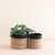 Natural + Black Tabletop Catch-All Set of 2 - Tabletop Bins - Natural/Black