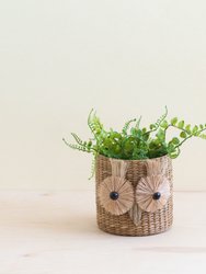 Owl 6" Seagrass Basket Planter - Succulent Plant Pot - Natural