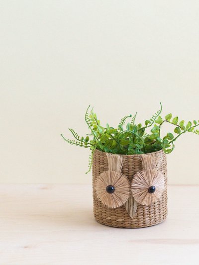 LIKHA Owl 6" Seagrass Basket Planter - Succulent Plant Pot product