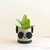 Panda 6" Seagrass Basket Planter - Animal Planter - Natural/Black