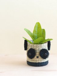 Panda 6" Seagrass Basket Planter - Animal Planter - Natural/Black