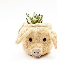 Pig Plant Pot - Animal Head Plant Pot