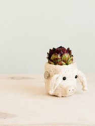 Pig Plant Pot - Animal Head Plant Pot