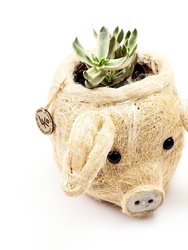 Pig Plant Pot - Animal Head Plant Pot