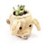 Pig Plant Pot - Animal Head Plant Pot