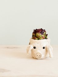 Pig Plant Pot - Animal Head Plant Pot - Natural and White