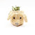 Pig Plant Pot - Animal Head Plant Pot